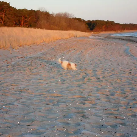 度假居 Zum-luetten-leuchtturm *
