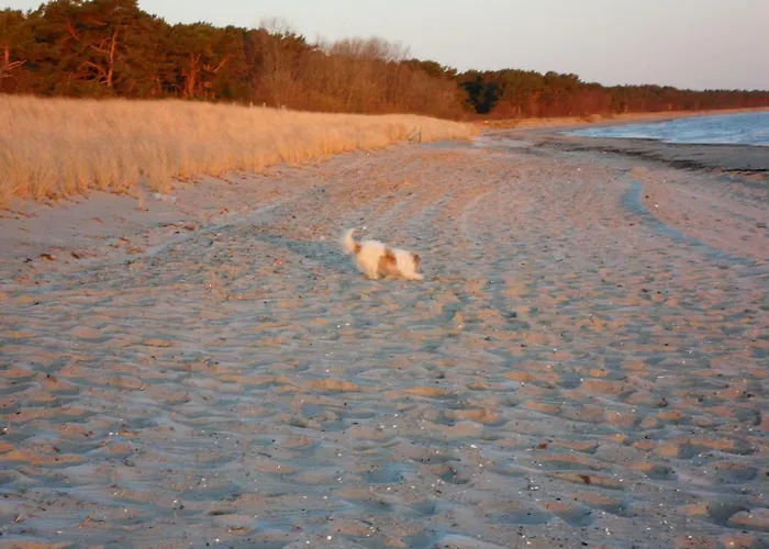 بيت للعطل Zum-luetten-leuchtturm *